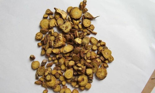 生黄芪的功效主治-生黄芪的功效与作用禁忌网—知名的生黄芪的功效与用量网站,分享生黄芪的功效主治知识
