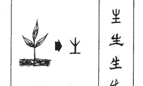 生黄芪的功效与作用禁忌和副作用-生黄芪的功效与作用禁忌网—知名的生黄芪的功效与用量网站,分享生黄芪的功效主治知识